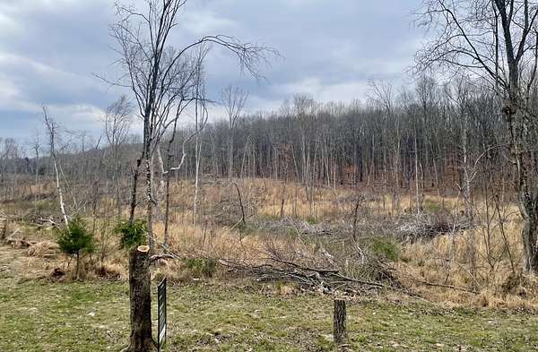 6.49 Acres of Residential Land for Sale in Sewanee, Tennessee