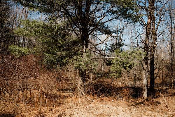 19.8 Acres of Recreational & Residential Land for Sale in Union City, Pennsylvania