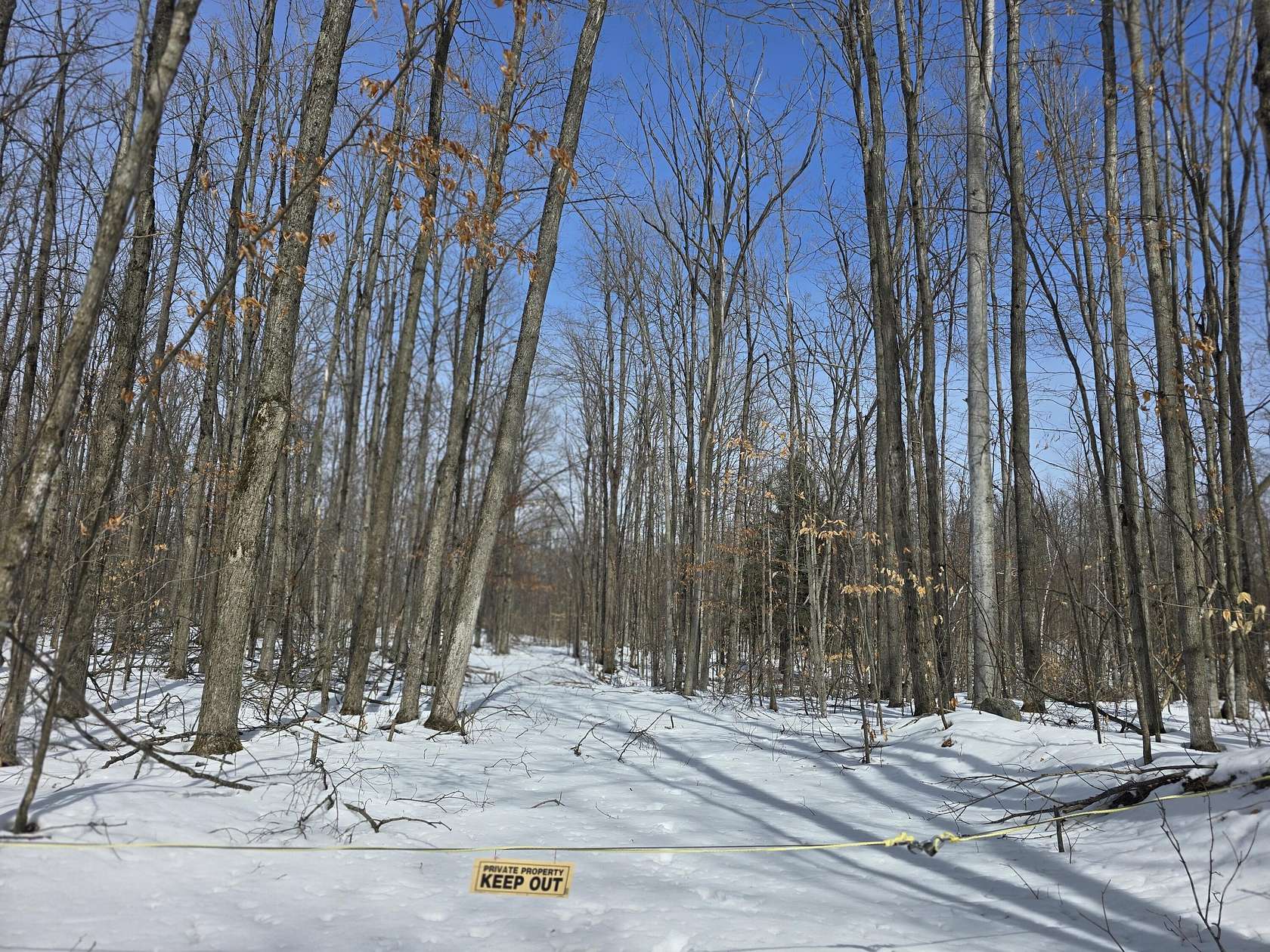 7.86 Acres of Land for Sale in Fairview, Michigan