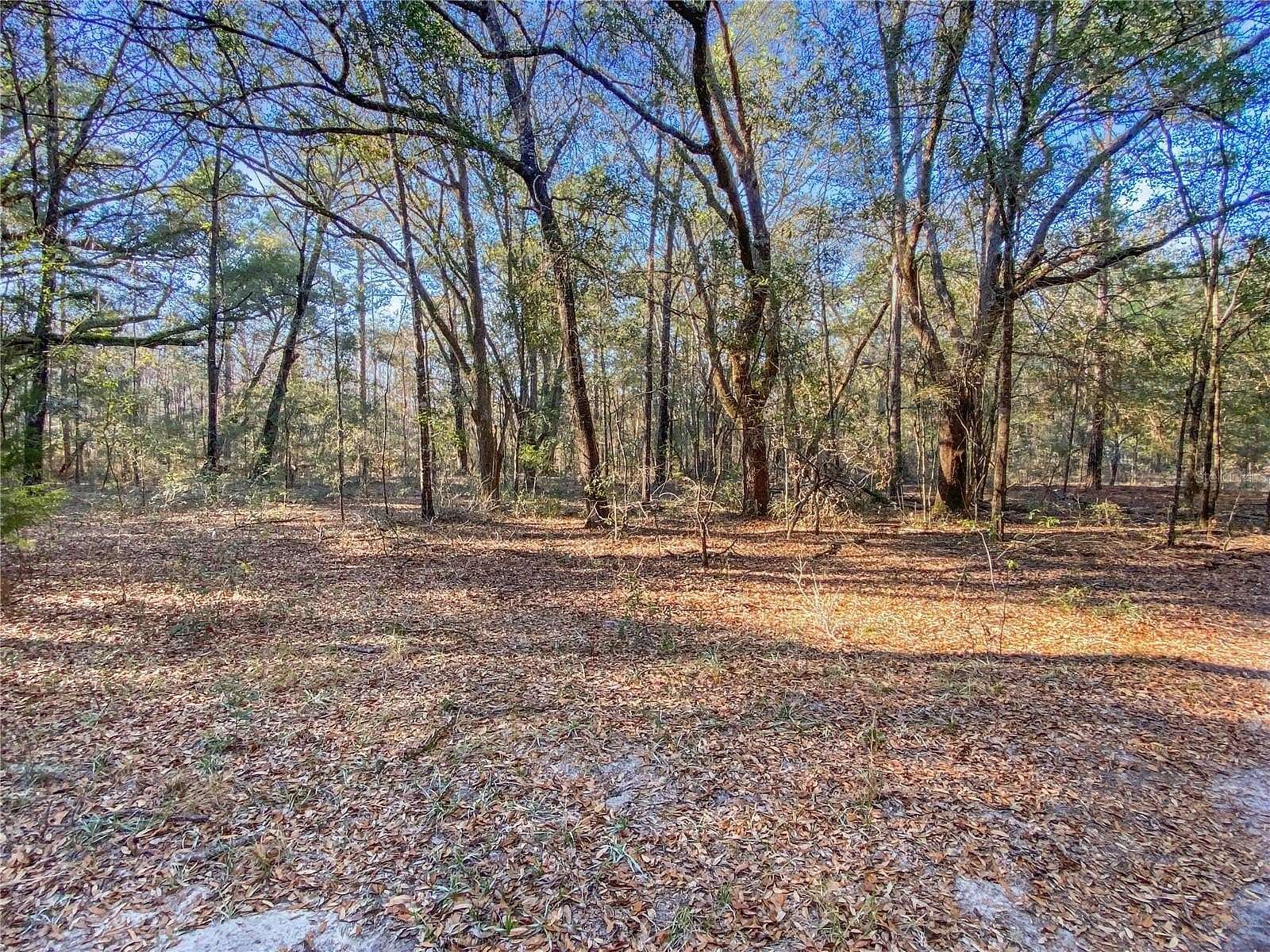 7 Acres of Residential Land for Sale in Fort White, Florida