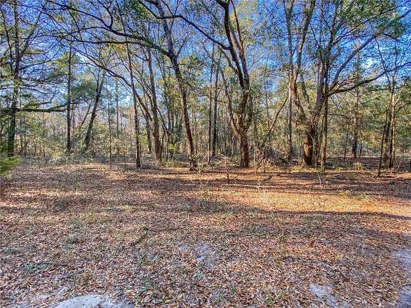 7 Acres of Residential Land for Sale in Fort White, Florida