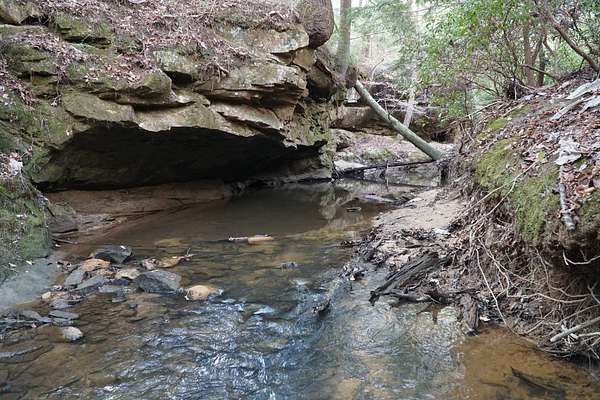 40 Acres of Recreational Land for Sale in Haleyville, Alabama