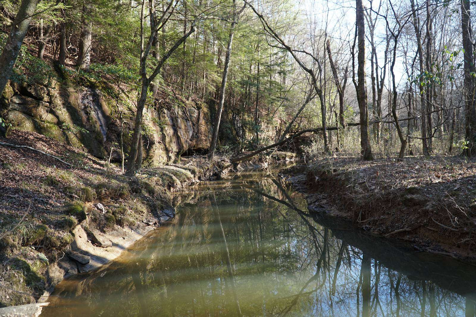 56 Acres of Recreational & Residential Land for Sale in Haleyville, Alabama