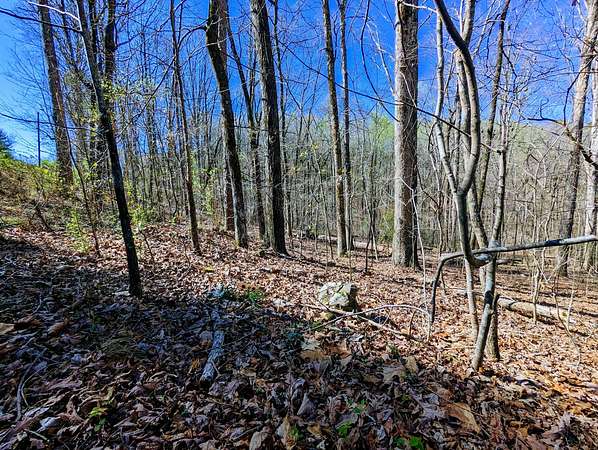 Land for Auction in Gadsden, Alabama