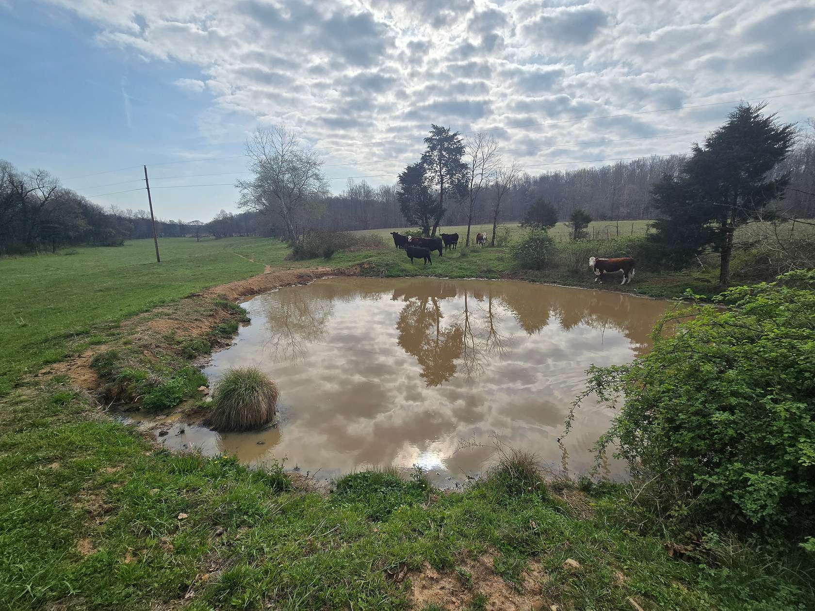 12 Acres of Land for Sale in McEwen, Tennessee