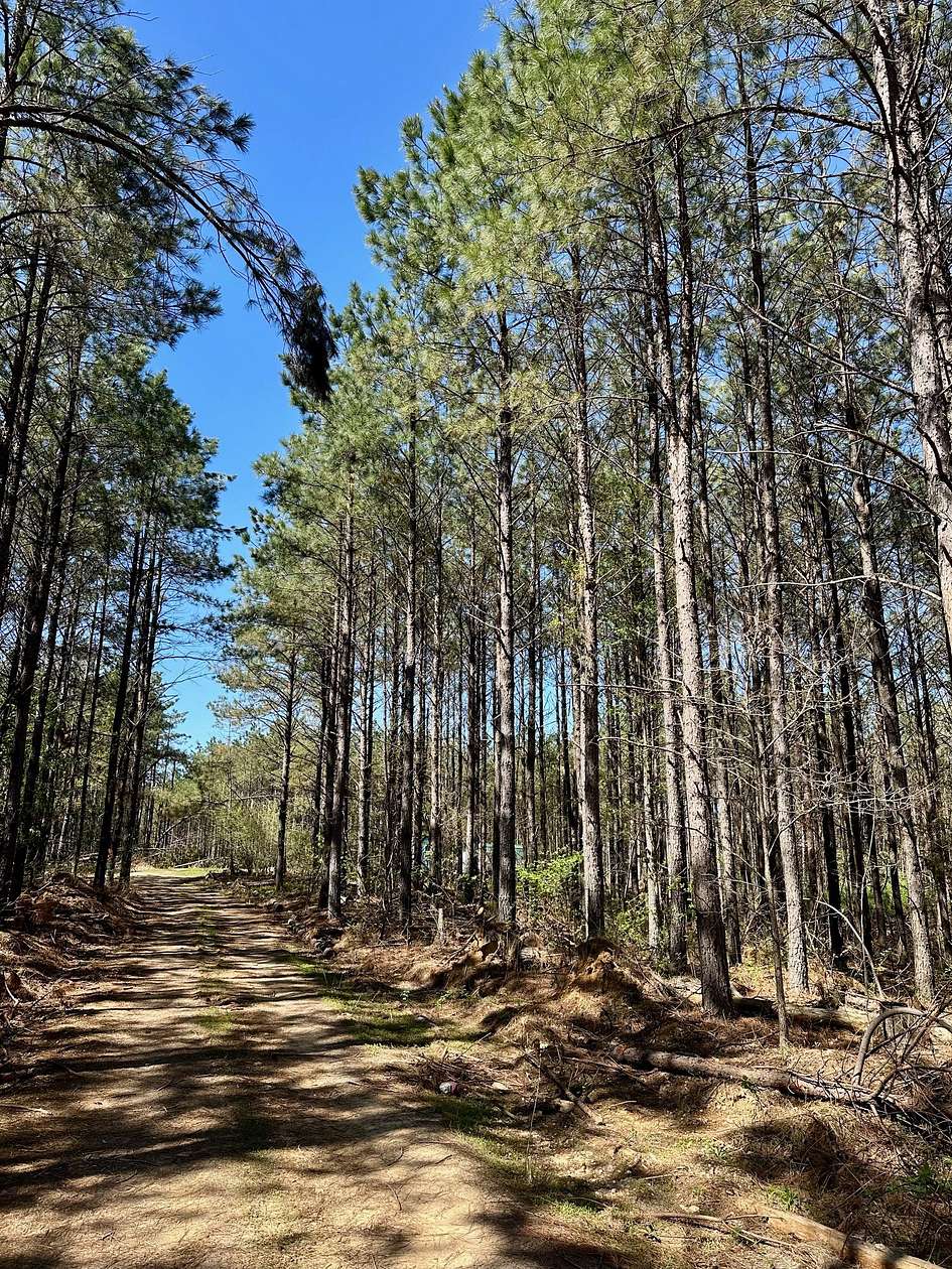 5.43 Acres of Residential Land for Sale in Hohenwald, Tennessee