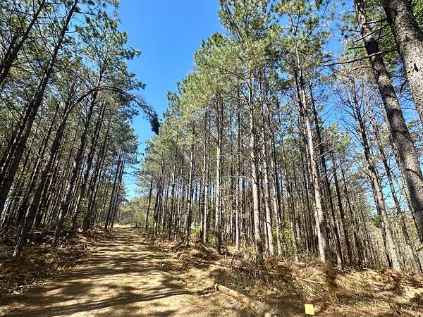 5.43 Acres of Residential Land for Sale in Hohenwald, Tennessee