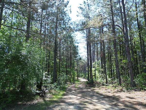 5.43 Acres of Residential Land for Sale in Hohenwald, Tennessee