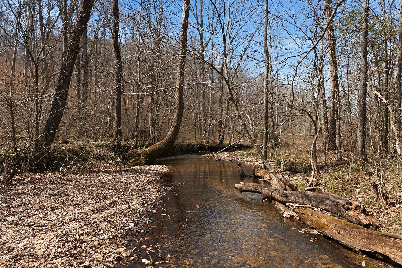 41 Acres of Recreational Land for Sale in Dickson, Tennessee