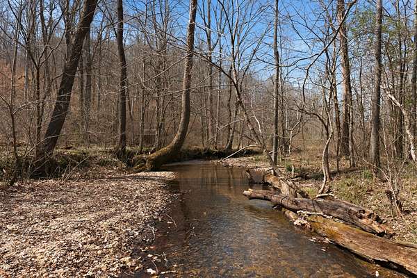 41 Acres of Recreational Land for Sale in Dickson, Tennessee