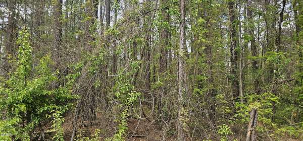 0.46 Acres of Residential Land for Sale in Durham, North Carolina