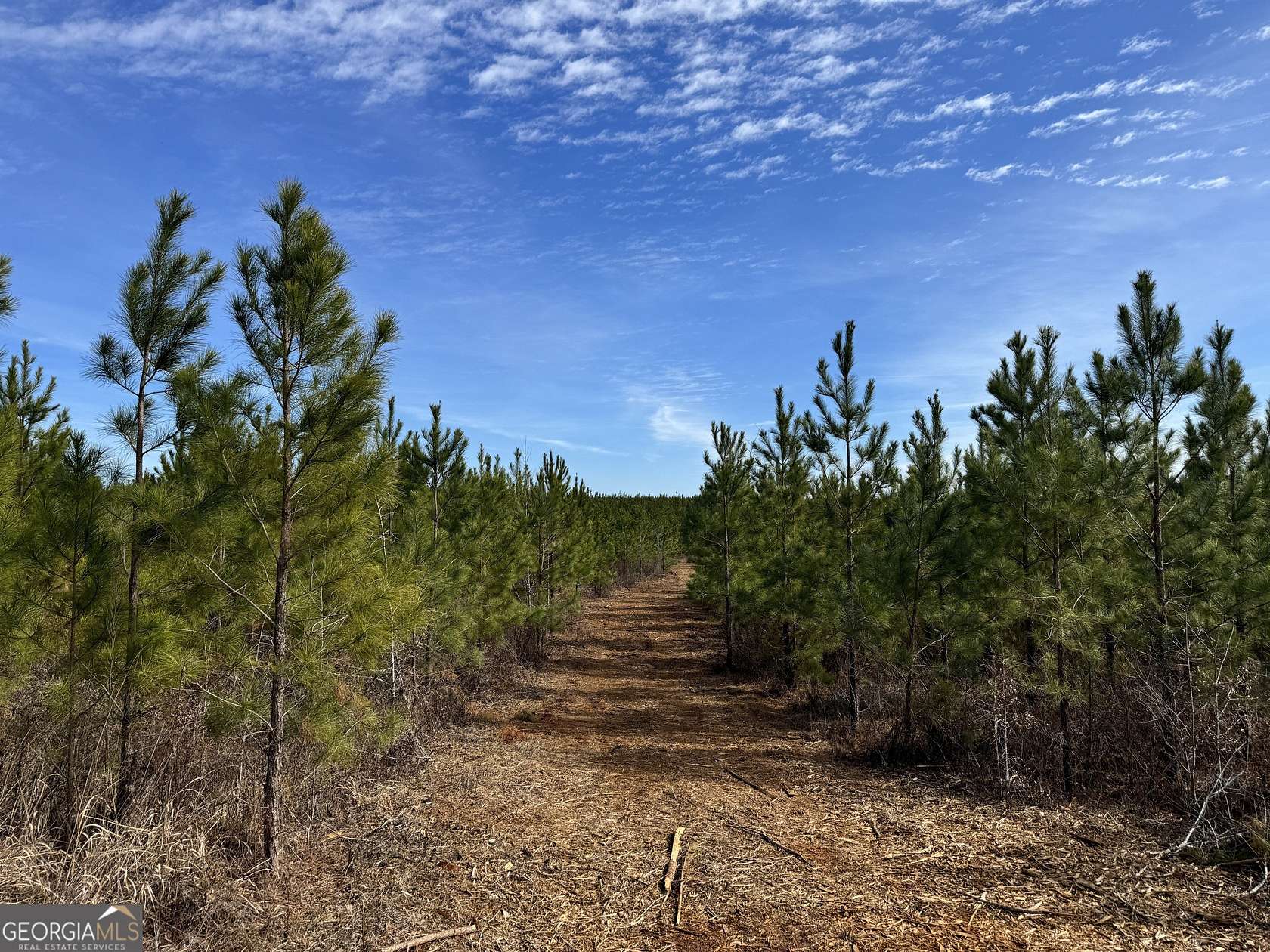 8.76 Acres of Residential Land for Sale in Ellaville, Georgia