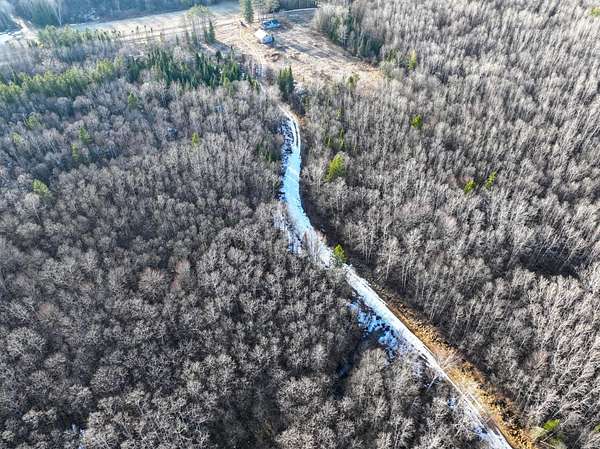 40 Acres of Land for Sale in Prentice, Wisconsin