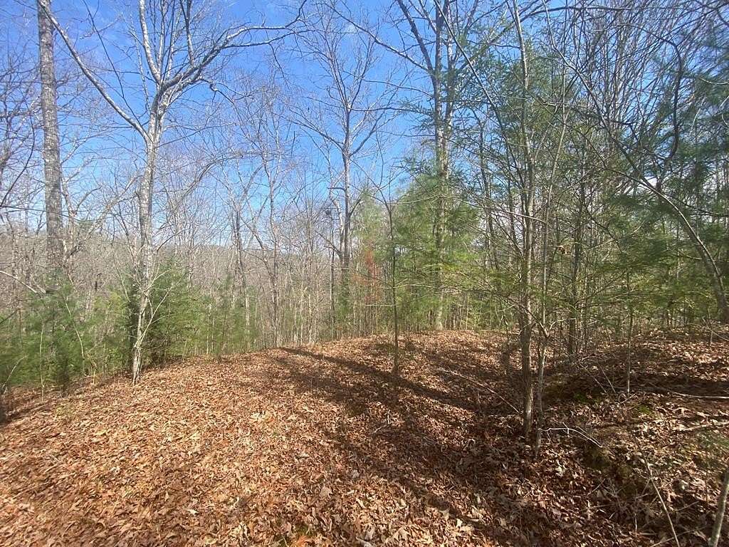 Residential Land for Sale in Murphy, North Carolina