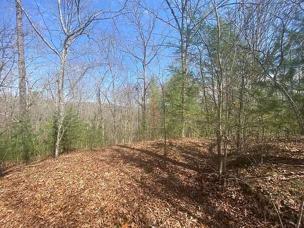 Residential Land for Sale in Murphy, North Carolina