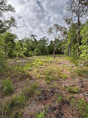 1.24 Acres of Residential Land for Sale in Old Town, Florida