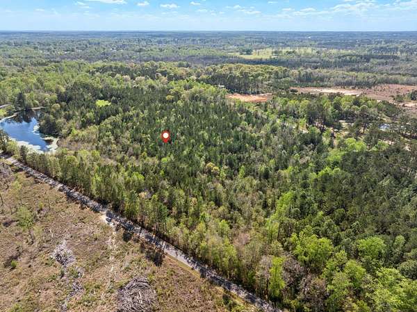 19.4 Acres of Land for Sale in Lumberton, Mississippi
