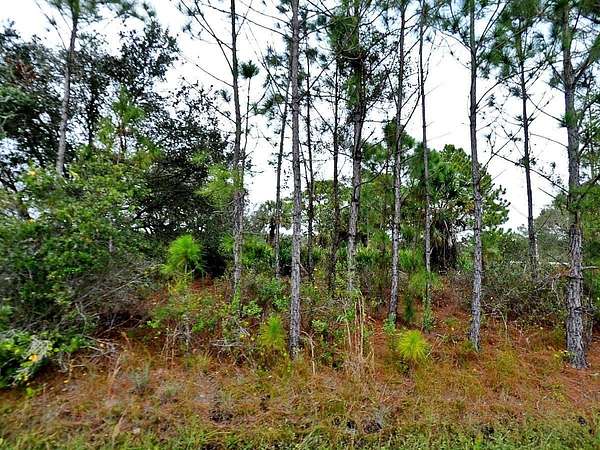 0.23 Acres of Residential Land for Sale in North Port, Florida