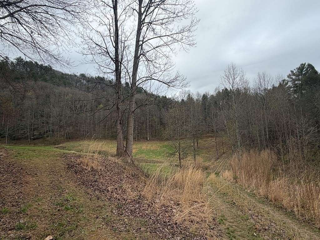 9.89 Acres of Residential Land for Sale in Blue Ridge, Georgia