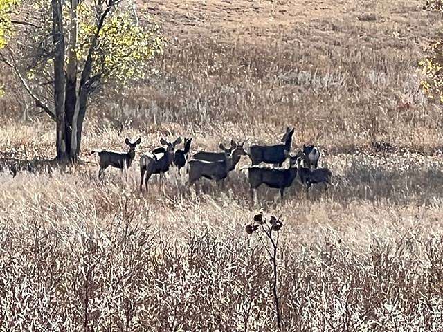 1,200 Acres of Land for Sale in Matheson, Colorado