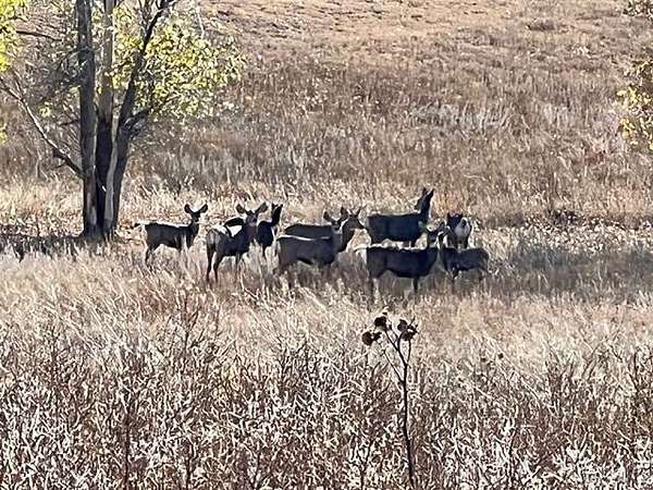 1,200 Acres of Land for Sale in Matheson, Colorado