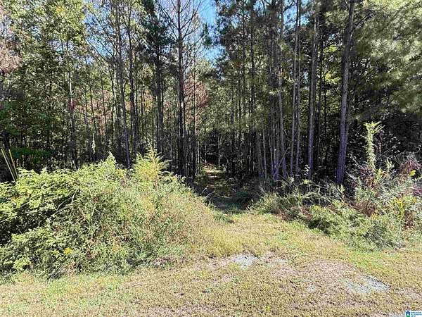 1.28 Acres of Residential Land for Sale in Odenville, Alabama