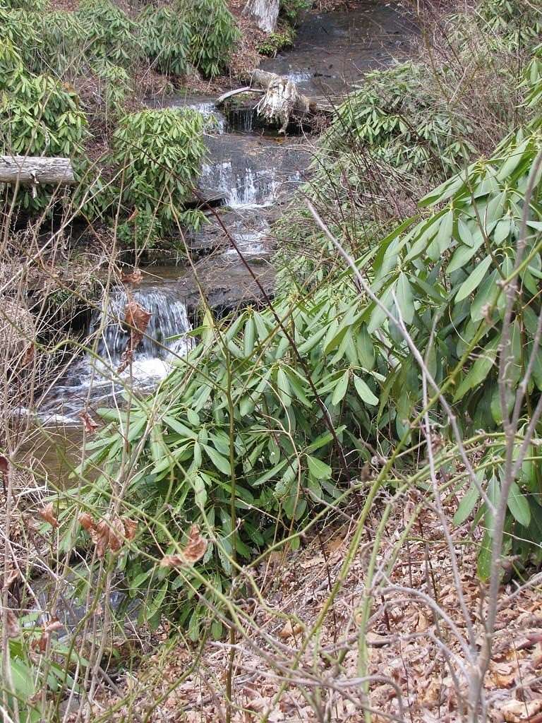 10.5 Acres of Land for Sale in Glenville, North Carolina