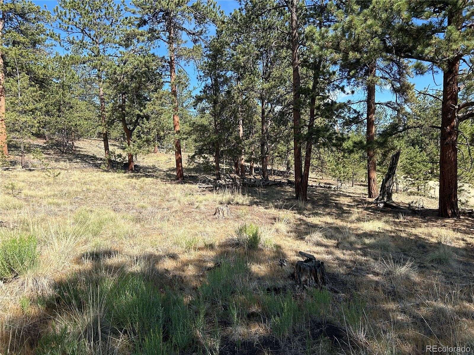 2.5 Acres of Residential Land for Sale in Hartsel, Colorado