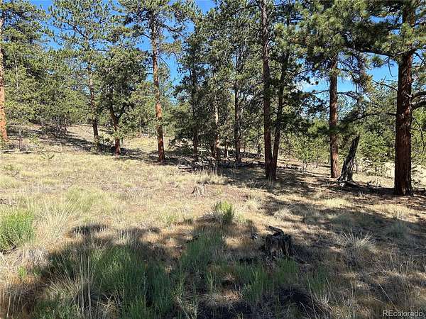 2.5 Acres of Residential Land for Sale in Hartsel, Colorado
