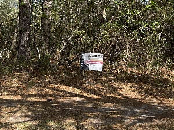 9.63 Acres of Residential Land for Sale in Waverly, Georgia