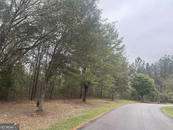 9.63 Acres of Residential Land for Sale in Waverly, Georgia