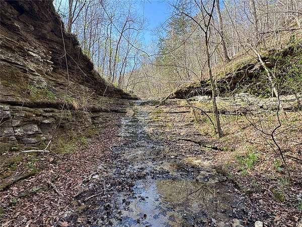38.5 Acres of Recreational & Residential Land for Sale in Jasper, Arkansas