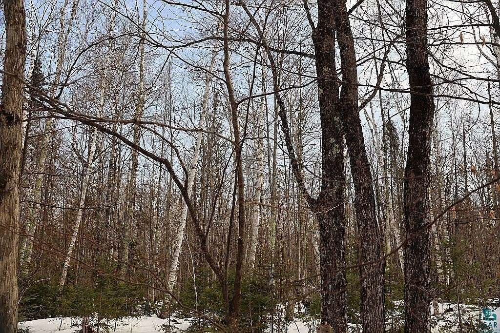 10 Acres of Recreational & Residential Land for Sale in Brule, Wisconsin