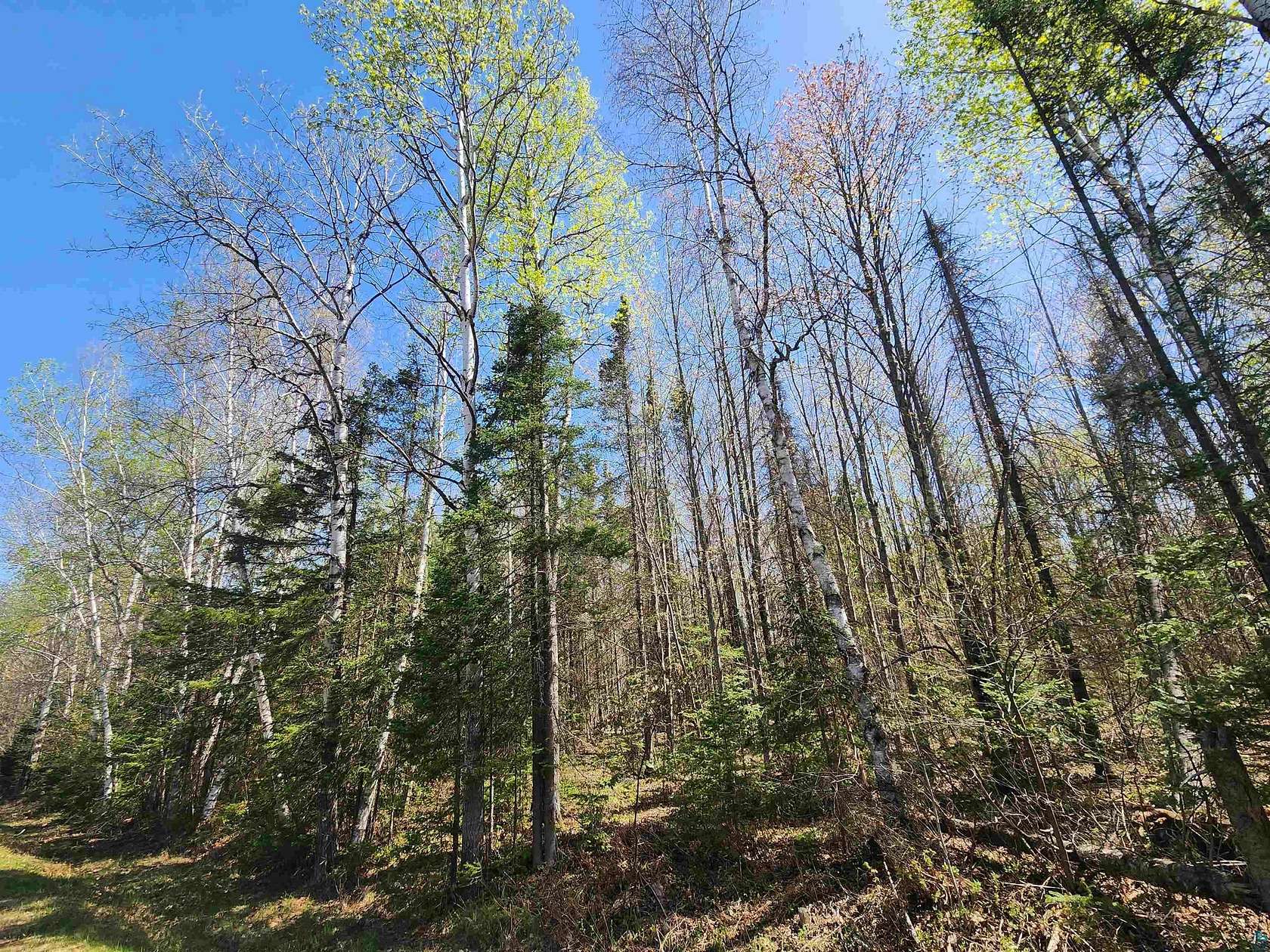 10 Acres of Recreational & Residential Land for Sale in Brule, Wisconsin