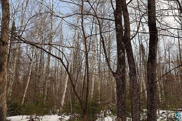 10 Acres of Recreational & Residential Land for Sale in Brule, Wisconsin