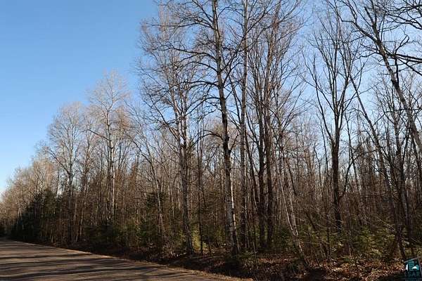 10 Acres of Recreational & Residential Land for Sale in Brule, Wisconsin