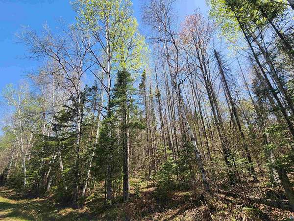 10 Acres of Recreational Land for Sale in Brule, Wisconsin