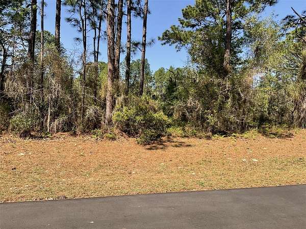 0.23 Acres of Residential Land for Sale in Dunnellon, Florida