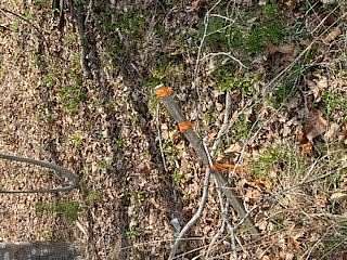 1.65 Acres of Residential Land for Sale in Buffalo Junction, Virginia