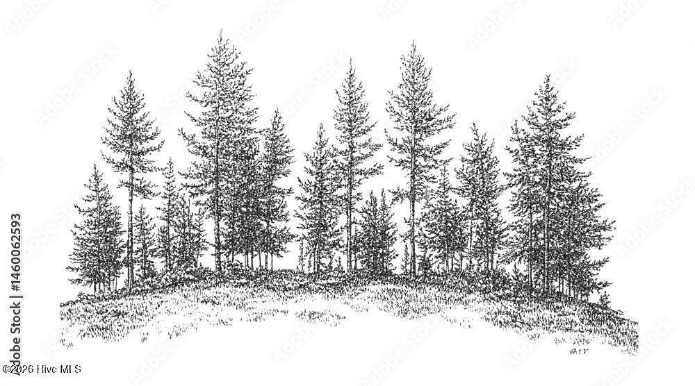 5.63 Acres of Residential Land for Sale in Wilson, North Carolina