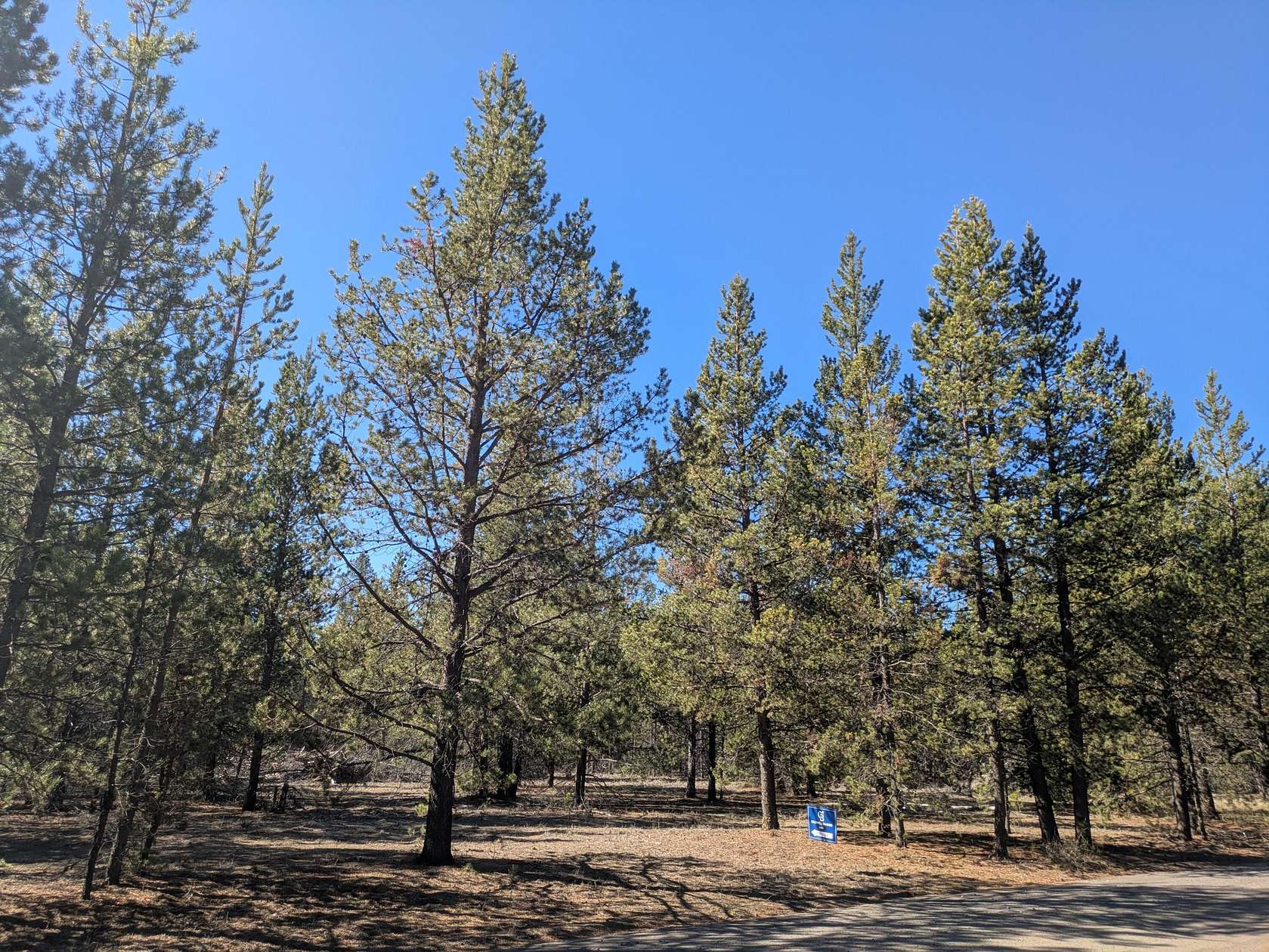 4.79 Acres of Residential Land for Sale in La Pine, Oregon