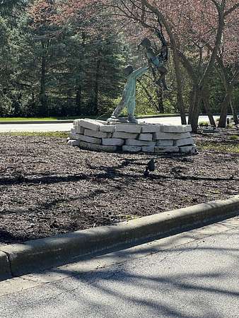 0.64 Acres of Residential Land for Sale in Shorewood, Illinois