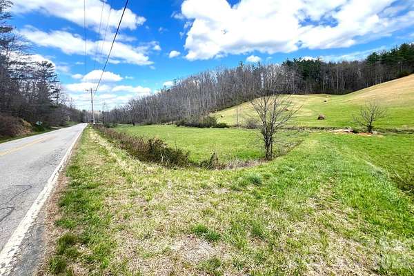 47.6 Acres of Land for Sale in Leicester, North Carolina