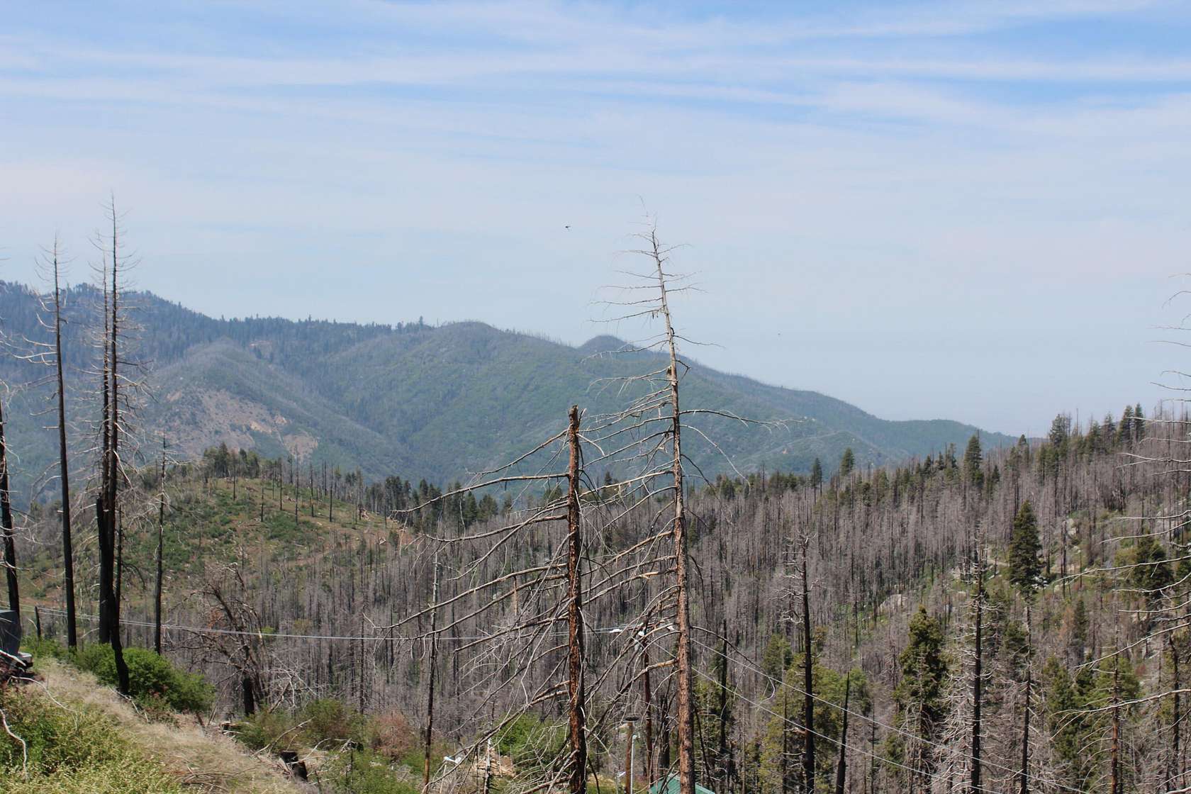 0.33 Acres of Residential Land for Sale in Springville, California