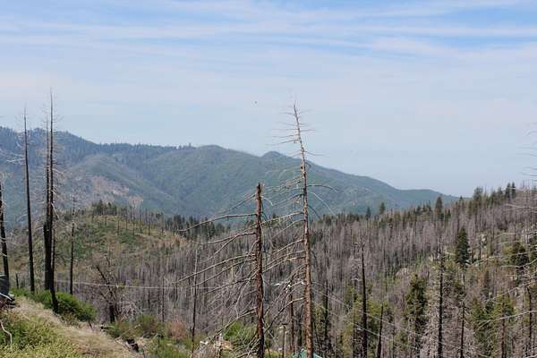 0.33 Acres of Residential Land for Sale in Springville, California