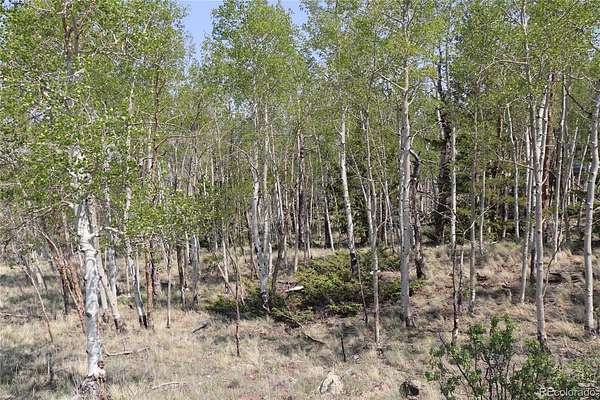 2 Acres of Residential Land for Sale in Hartsel, Colorado