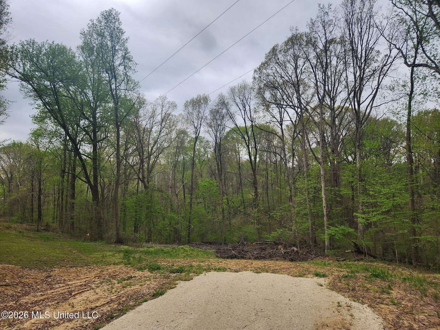 1 Acre of Residential Land for Sale in Hernando, Mississippi