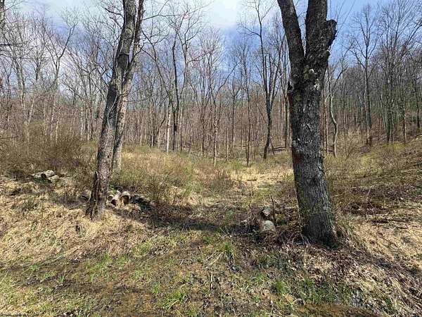 2.4 Acres of Residential Land for Sale in Fairview, West Virginia
