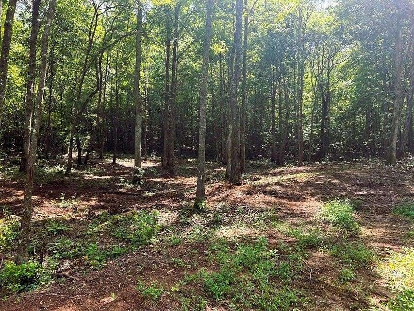18 Acres of Land for Sale in Ten Mile, Tennessee
