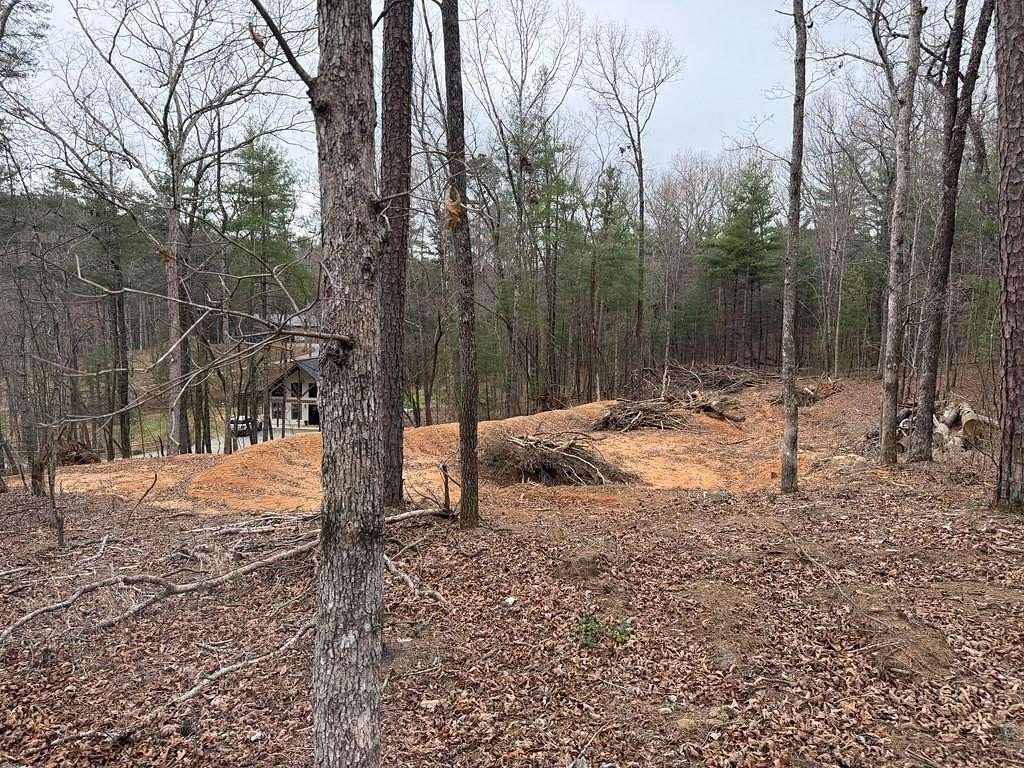 1.4 Acres of Residential Land for Sale in Mineral Bluff, Georgia